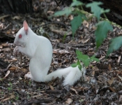2016 06 11 WildLife MPLS 125